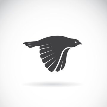 Vector image of an bird icon on white background. Finch