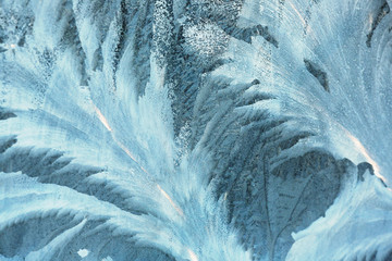 Hoarfrost texture as background