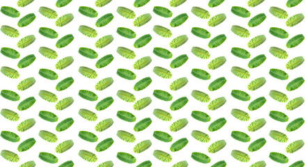 Green banana leaves pattern. Seamless Green Leaves