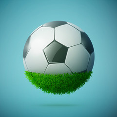 Half of green grass sphere with soccer ball concept