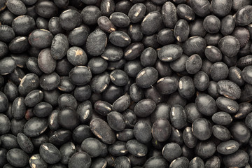 Black turtle bean