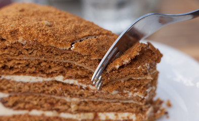 Beautiful close-up of honey cake