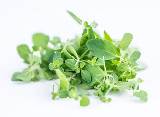 Oregano (over white)