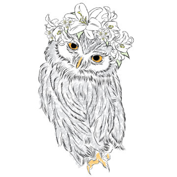 Cute owl in a flower wreath. Vector illustration. Print for clothes, cards or posters.