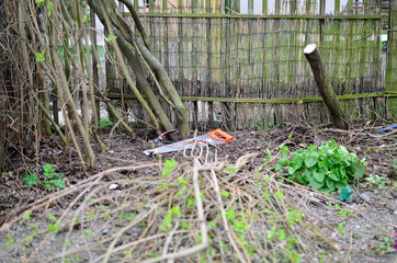Lunch time in the garden  /  Lunch time during the spring garden work.
