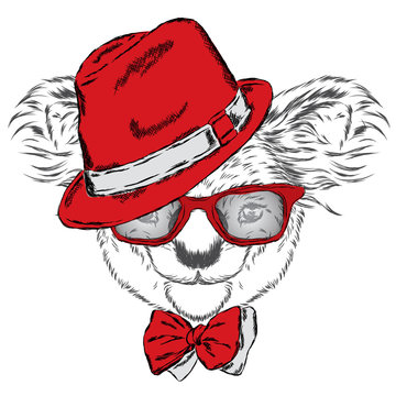 Cute koala in a cap and a tie. Koala vector. Greeting card with bear. Australia. Winter. Skier. Koala wearing glasses.