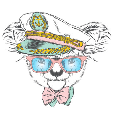 Koala in the captain's cap. Cute koala. Vector illustration.