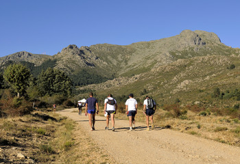 Obraz premium Caminando por la montaña. Guadarrama. Madrid. España