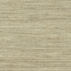 Linen canvas texture