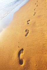 beach, wave and footprints at sunset time