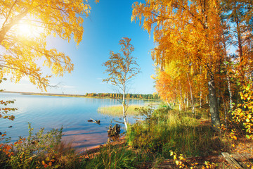 Fototapeta na wymiar Autumnal Park. Autumn Trees and lake