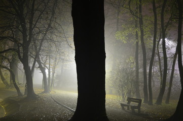 Tajemnicza noc w parku © W Korczewski