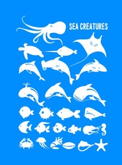 Fototapeta na wymiar set of marine animals