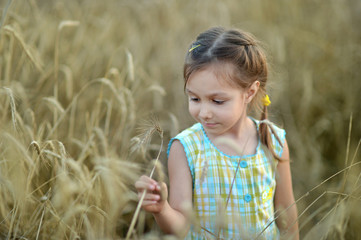 Little  girl inwheat field