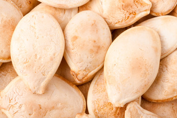 peeled pumpkin seeds or whole background macro