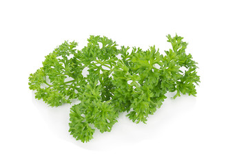 parsley isolated on white background