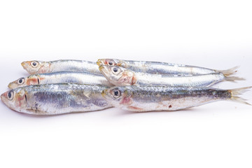 Fresh raw sardines isolated on white background