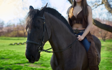 Fototapeta premium The horse is saddled woman