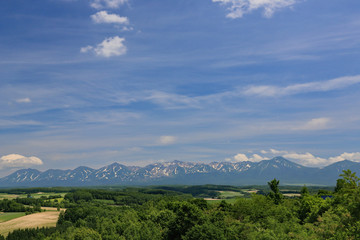 Obraz premium beautiful view of hokkaido japan