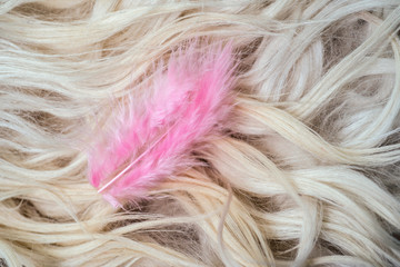 Small pink feather