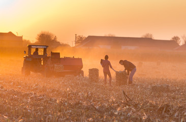 Farmers on the field