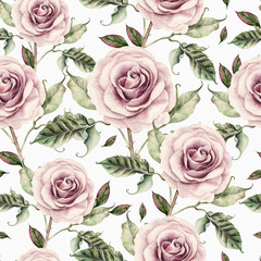 Pattern with watercolor realistic rose.