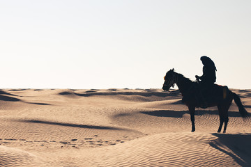 man on a horse in the desert. The shadow of a man on a horse in the desert. Arab man on a horse in...