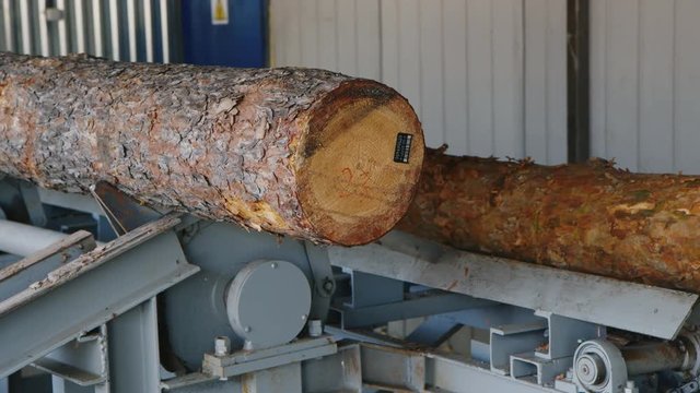  Series of 5 video: working at the sawmill, logs on the conveyor