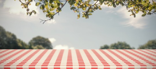 Composite image of red and white tablecloth