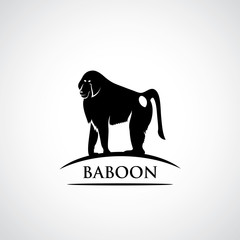 Baboon