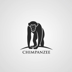 Chimpanzee