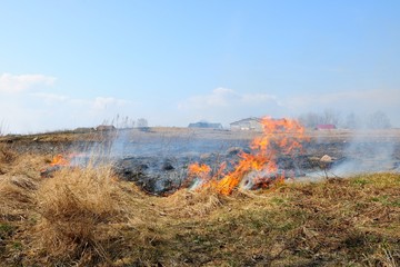 dry grass burns in the field