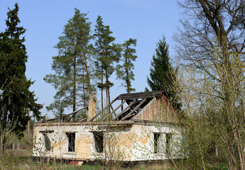 Old destroyed building in the forest