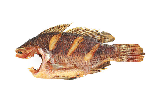 Fried tilapia fish without head isolated on white