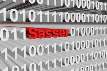 Sasser in the form of binary code, 3D illustration