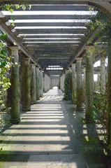 Wooden garden passage way