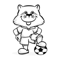 Raccoon football player