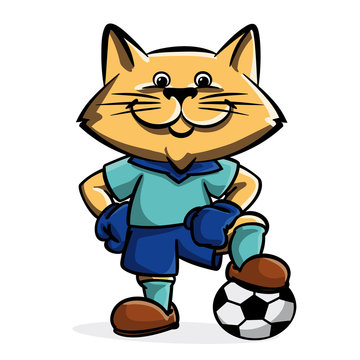 The cat soccer player