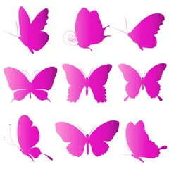 Raamstickers Vlinders vlinders ontwerp
