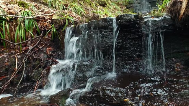 A stream running over the edge of a rocky slab in an English forest.