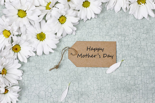Mothers Day Card and Daisy Flowers