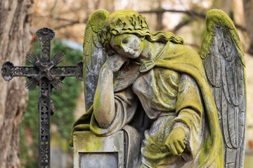 Historic Angel from the old Prague Cemetery, Czech Republic