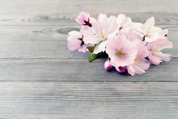 Naklejka na ściany i meble Cherry blossoms on wooden background. 
