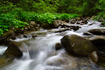 Fototapeta premium Mountain river in the green forest