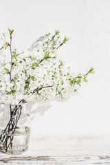 Cherry tree branches with white blossoms in transparent vase of vintage table