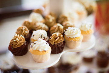 Chocolate Cupcakes