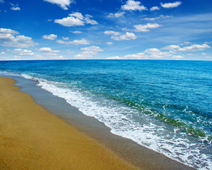 Fototapeta premium beach and sea