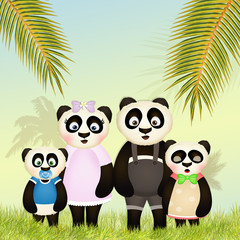 family of panda in the jungle
