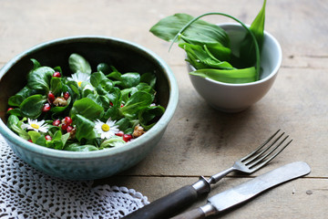 Feldsalat mit Gänseblümchen, Grantatapfel und Walnüssen, Bärlauch im Frühjahr, vegane Ernährung für eine gesunde Lebensweise, frische Salate und Kräuter aus der Natur