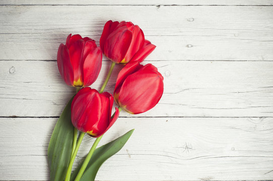 tulips in a vase on white background isolated